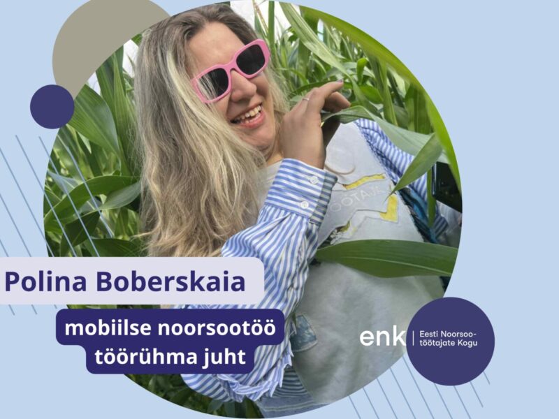 Mobiilse noorsootöö töörühm
